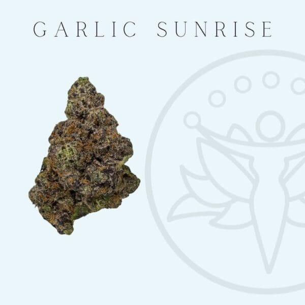 THCA Flower Garlic Sunrise (Indica Hybrid)
