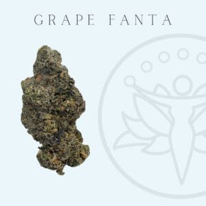 THCA Flower Grape Fanta (Hybrid)