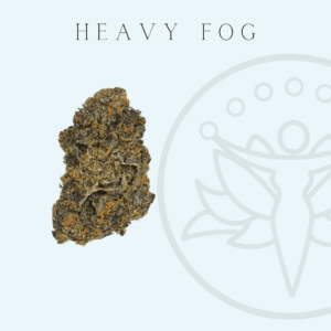THCA Flower Heavy Fog (Sativa Hybrid)