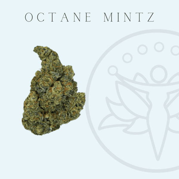 THCA Flower Octane Mintz (Indica Hybrid)