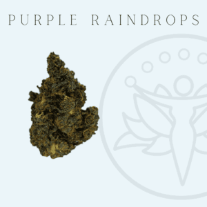 THCA Flower Purple Raindrops (Indica Hybrid)